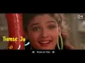 Tumse Jo Dekhte Hi (Lyrical) Salman K, Raveena T | Lata M, S. P. Balasubrahmanyam | Patthar Ke Phool