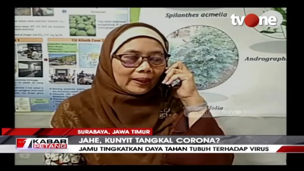 PONTIANAK, KOMPAS.TV - Ada kabar baik untuk petani maupun pengusaha kratom di Indonesia. Setelah lam. 
