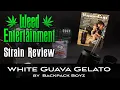 White Guava Gelato - by Backpack Boyz