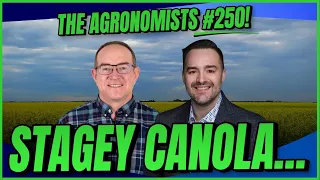 Stagey canola The Agronomists Ep 250