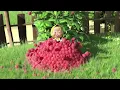 Masha and the Bear 🚿 LAUNDRY DAY 🧼 30 min ⏰ Сartoon collection 🎬