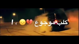 تركته يروح  ماودعته   دندنها