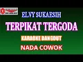 Download Lagu KARAOKE DANGDUT TERPIKAT TERGODA - ELVY SUKAESIH (COVER) NADA COWOK