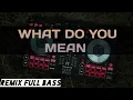 Download Lagu FULL BASS DJ WHAT DO YOU MEAN | BERLIANA BULOUW REMIX | REMIX SLOW | atin tampan 3