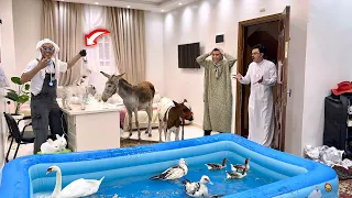 لما اخوك الصغير يقلب البيت عياده حيوانات السلسيلي جديد 