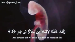 قال تعالى ولقد خلقنا الإنسان من سلالة من طين ثم جعلناه نطفة في قرار مكين     دندنها