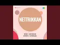 Download Lagu Ramanin