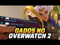 Download Lagu ENCONTREI GADOS NO OVERWATCH 2