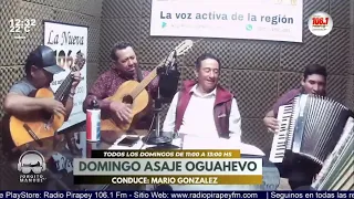 POLKAS Y CHAMAME EN VIVO - ARTISTAS UNIDOS