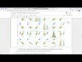 Iris Data Prediction using Decision Tree Algorithm