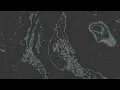 Marsh - Sleep feat. Jodie Knight (Official Visualiser) [Anjunadeep]