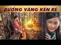 Lagu RƯƠNG VÀNG KÉN RỂ🔥CỔ TÍCH VIỆT NAM 2026 🔥 CỔ TÍCH HAY NHẤT🔥PHIM CỔ TÍCH MỚI NHẤT 2026🔥YÊU CỔ TÍCH