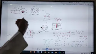 الانقسام المتساوي و انقسام السيتوبلازم 