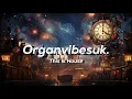 Download Lagu Organ Vibes   2024