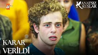 Emre'nin şok eden mahkeme kararı - Kanatsız Kuşlar 16. Bölüm