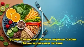 Нутрициология и метаболизм: научные основы сбалансированного питания