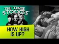 Download Lagu The THREE STOOGES - Ep. 48 - How High Is Up  - Classic 3 Stooges