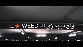 النهاردة الليلة عيد مروان بابلو 