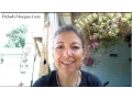 Urinary Incontinence In Dogs