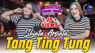 shinta arsinta tang ting tung goyang esek esek official music video 