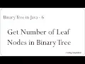 Binary Tree in Java - 6 Get number of Leaf Nodes in Binary Tree