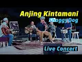 Download Lagu Anjing Kintamani - Shaggydog (Live Konser Akustik)