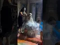 Download Lagu Sab kuch Mila ra bhole rahmat se tare #viral#mahadev #youtube #best #reel #harharmahadev🔱🥰🌺📿...