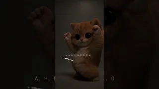 اصغر حجم واكبر قلب    دندنها