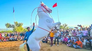 Horse Power vs Desi Crowd 🔥 | Goosebumps Moment | New Rajasthani Song 2026 | Priyanshu Sihag