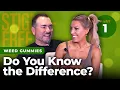Weed Gummies Part 1 THC vs CBD and What to Know About Impairment