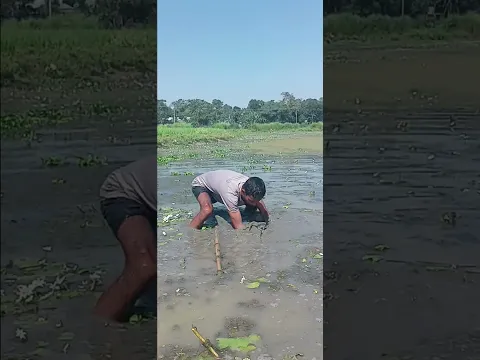 আল্লাহ দিলে এমনই কথা 🥰🥰