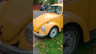 Original Bumblebee Transformer Car America Bumblebee Movie Transformers Australia Shorts  Original Bumblebee Transformer Car America Bumblebee Movie Transformers Australia Shorts