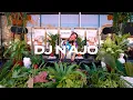 Neo-soul and hip hop rhythms with plants by Dj N'Ajo  at Flors al Mercat, Barcelona