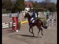 Download Lagu M'In Shallah van het schaeck - HROV 5yo Aalter