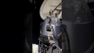 Third time it came back and when tin the dinghy… trying to take it away from the boat! 🐍⛵️#sailing