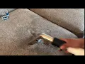 Upholstery Cleaning Service New Jersey