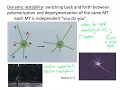 Cytoskel MTs Dynamic Instability