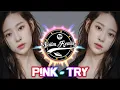 Download Lagu P!NK - TRY Remix By Dj Desa