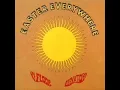 13th Floor Elevators - Slip Inside This House