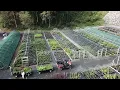 How Native Plant Demand Is Exploding Scaling Carolina Native Nursery