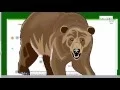 Go Math 5th Grade Chapter 7 Review Part 1