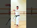 Download Lagu Shotokan Karate Kata Jiin 🥋🌊