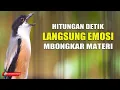 Lagu PANCINGAN CENDET GACOR - CUKUP HITUNGAN DETIK PASTI EMOSI LANGSUNG BONGKAR MATERI