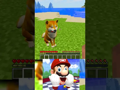 CUTE DOG in MINECRAFT!!! #mario_plays #minecraft #minecraftmemes #waitwhatminecraft