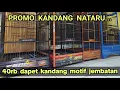 40rb DAPET KANDANG MOTIF JEMBATAN❗❗❗PROMO KANDANG NATARU... ❗❗