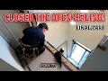 Download Lagu Foyer Ceiling Renovation (Final Part) A High-Insulation VIP Seat for the Cat by a Japanese Carpenter