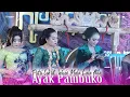 Download Lagu Pambuko Boto Rubuh •(Putri Cebret Wiwin Kumala Lala Atila)• Kencana Wungu Campursari