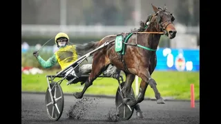 2025 Prix Ourasi 2700M Paris-Vincennes Frank Gio 1 12 4kr