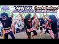 DANGSAK / CEPETAN 🛑 RANDU BUDOYO 📍 Live:desa kebakalan, kec.karanggayam, kab.kebumen