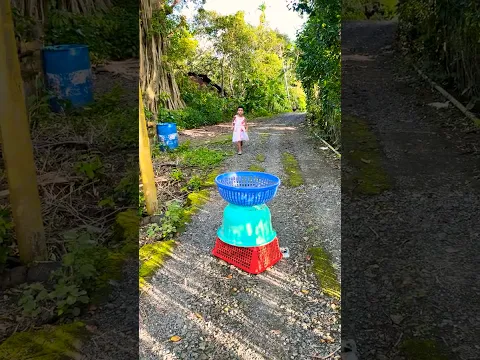 Little girl released a big cat family on street #cute #cat